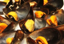 Especialidades - Pazo Coruña - Restaurante de Cocina Gallega en Madrid