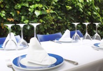 Terraza - Pazo Coruña - Restaurante de Cocina Gallega en Madrid